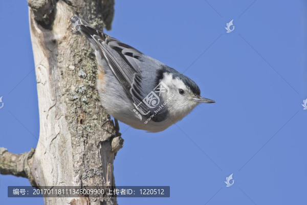 看到我了嗎？