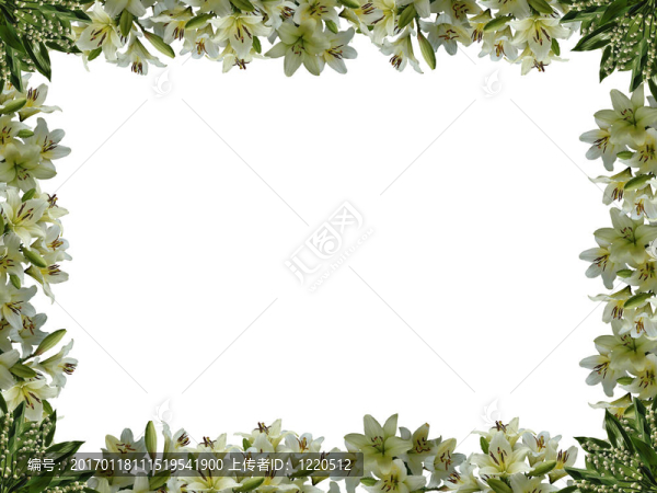 從自然花卉的框架