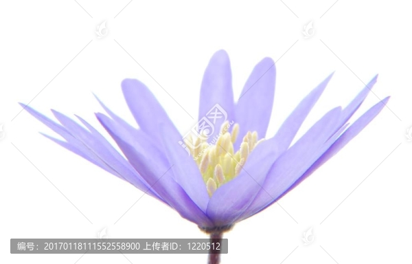 藍(lán)色的?？? title=