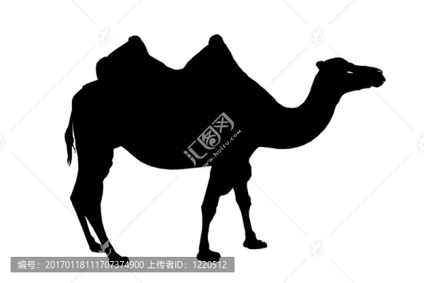 駱駝的剪影