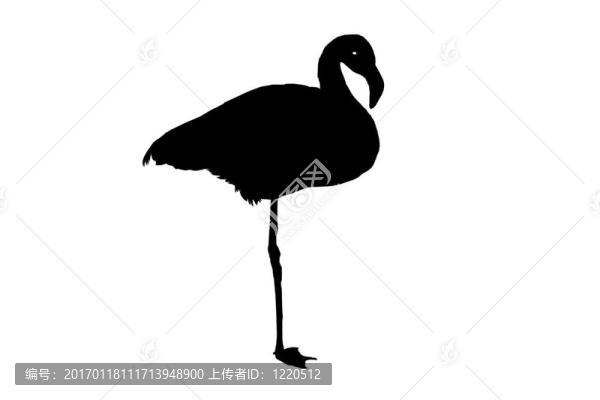 一個弗拉明戈的輪廓
