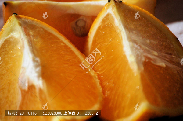 橙色的宿舍