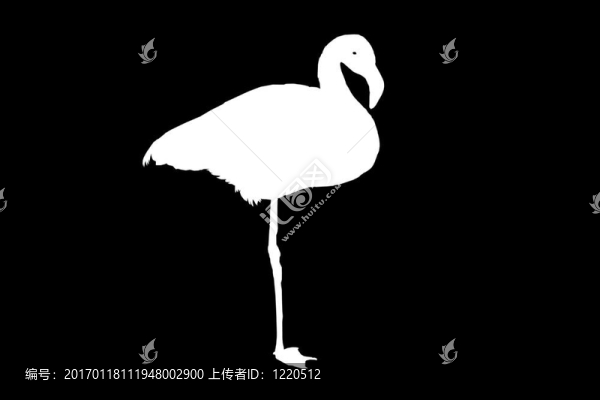 一個(gè)弗拉明戈的輪廓-匯圖網(wǎng) www.fosd68.com 一個(gè)弗拉明戈的輪廓