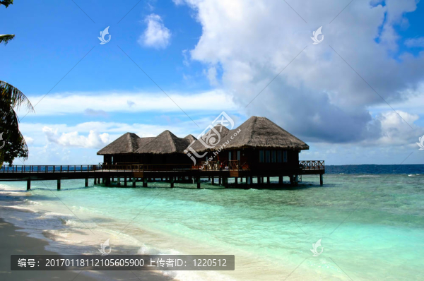在馬爾代夫海濱