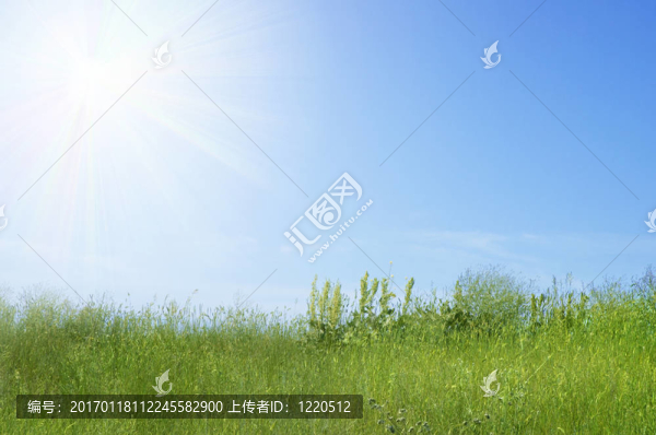 夏天的時間