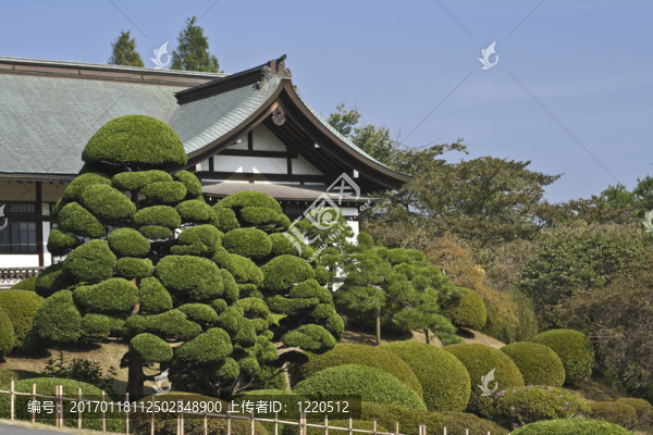 日本花園和寺廟
