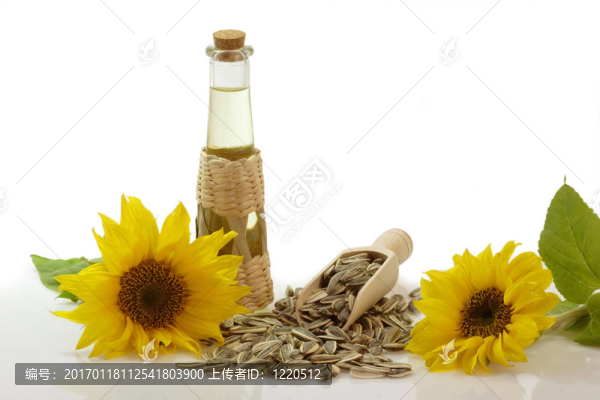 瓶里的葵花油