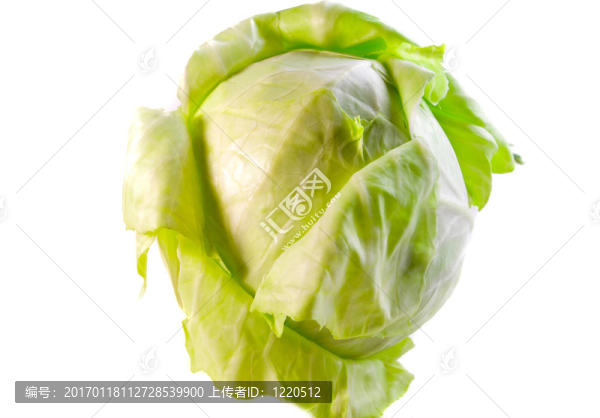 白菜-匯圖網(wǎng) www.fosd68.com 白菜