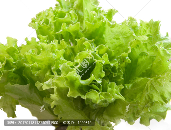綠色蔬菜色拉
