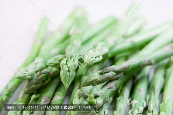 鮮蘆筍