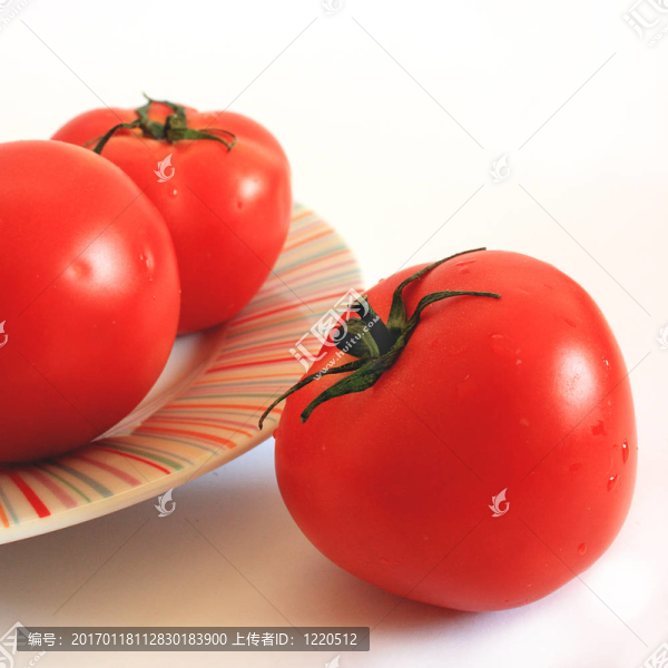 孤立的西紅柿