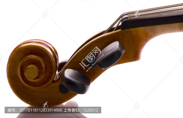 小提琴卷軸與Peg,Box