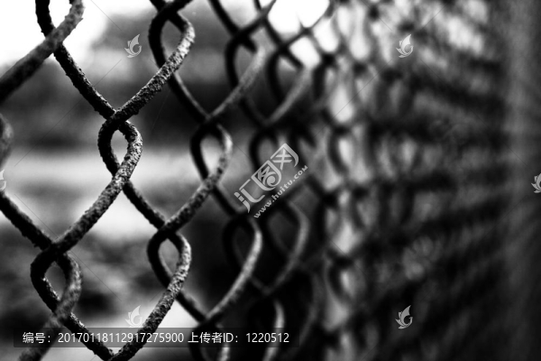 金屬網(wǎng)格-匯圖網(wǎng) www.fosd68.com 金屬網(wǎng)格