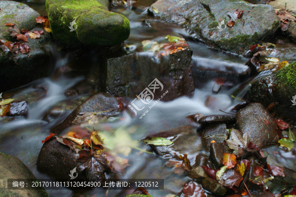 秋水