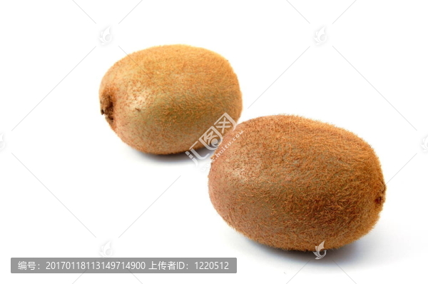 白色背景上分離的獼猴桃