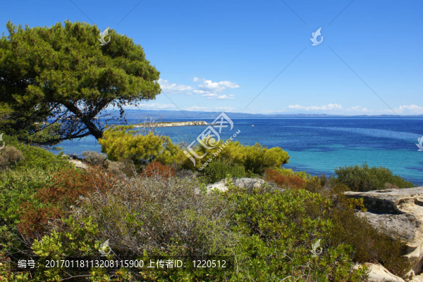 希臘的海岸線