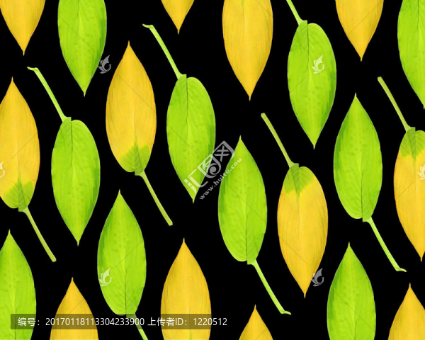 玉簪葉設(shè)計(jì)-匯圖網(wǎng) www.fosd68.com 玉簪葉設(shè)計(jì)