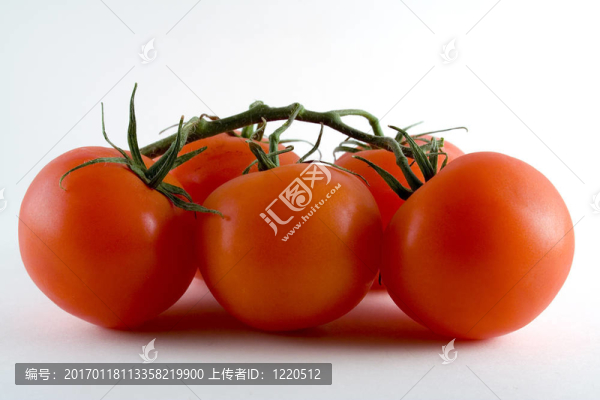 葡萄成熟的西紅柿