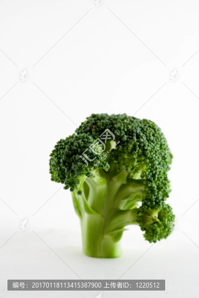 西蘭花