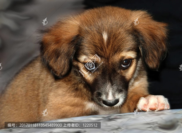 對(duì)不起的
