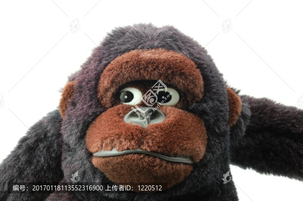 白色背景上分離的泰迪熊