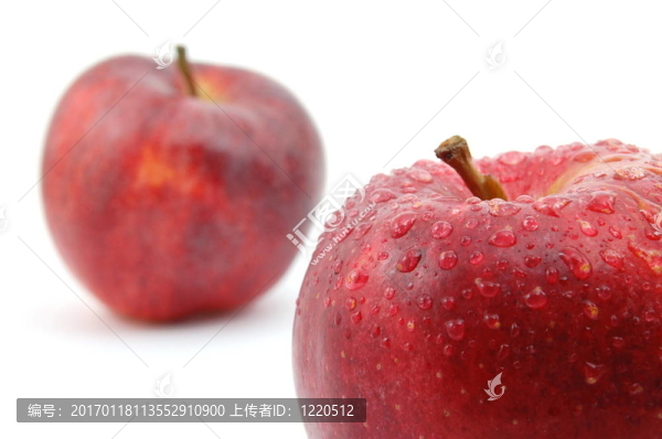 白色背景新鮮紅蘋果