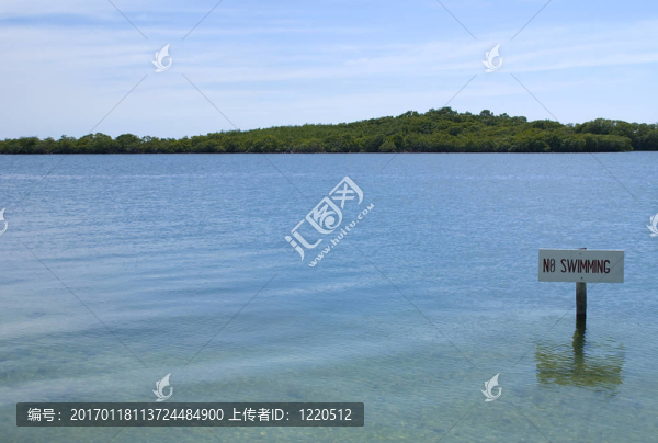 水中沒有游泳標(biāo)志。