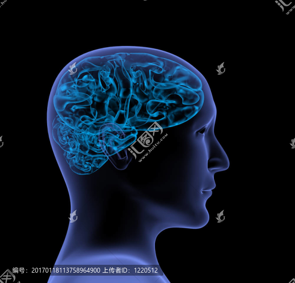 腦