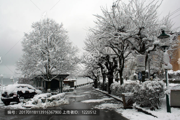 路徑湖景觀