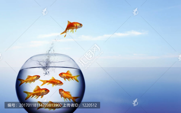 金魚跳出來的T