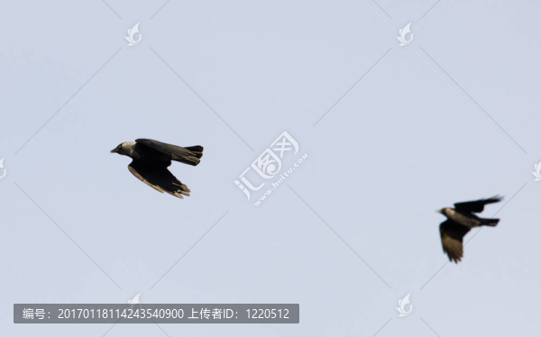 追求