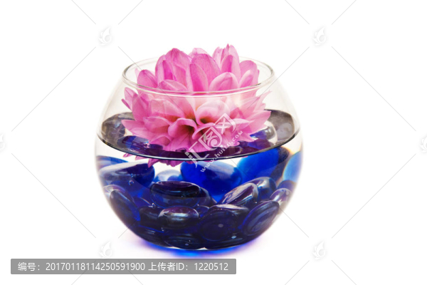 美麗的花