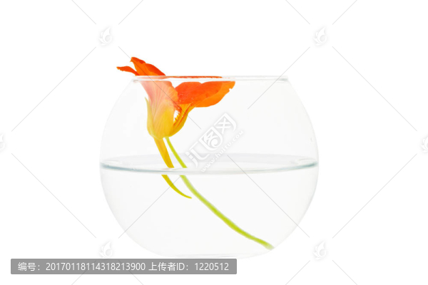 玻璃花瓶里的裝飾花