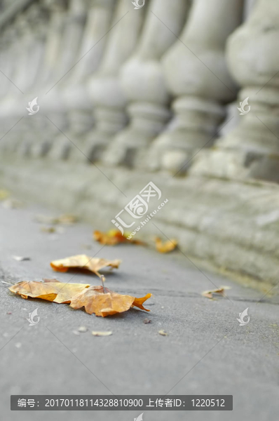 秋天的場(chǎng)景
