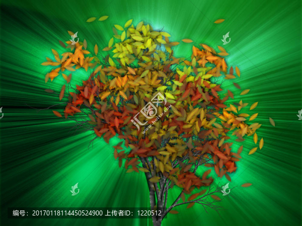 帶有落葉的樹；插圖