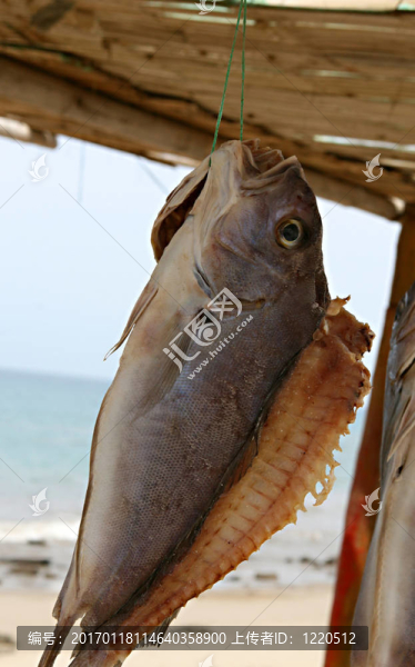 干魚