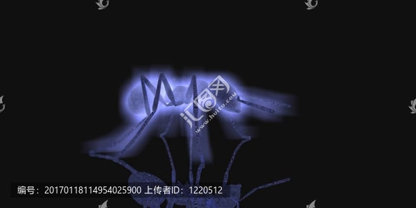 發(fā)光的螞蟻