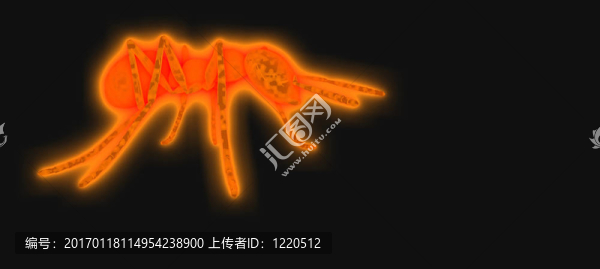 發(fā)光的螞蟻