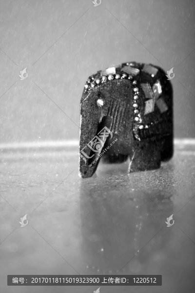象雨