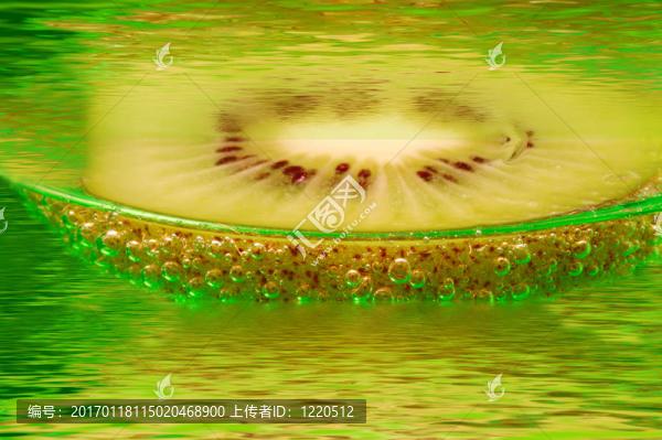幾維鳥
