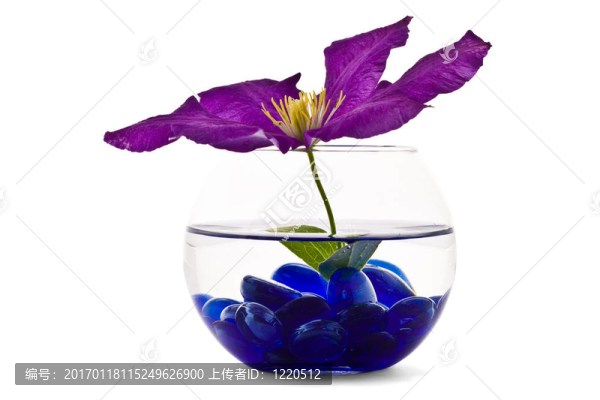 玻璃花瓶里的裝飾花
