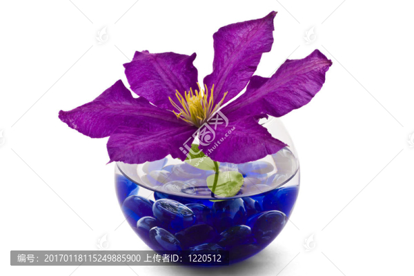 玻璃花瓶里的裝飾花