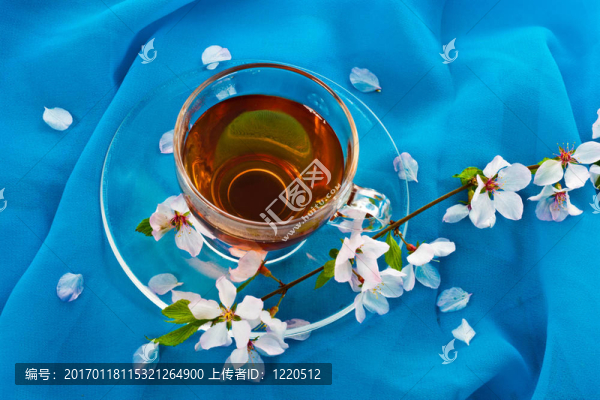 茶與櫻花枝