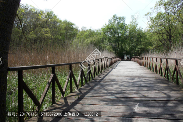 橋-匯圖網(wǎng) www.fosd68.com 橋