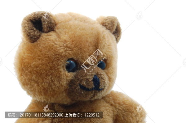 白色背景上分離的泰迪熊