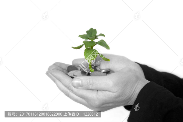 植物在手