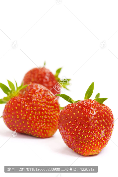 草莓