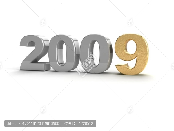 新的一年2009