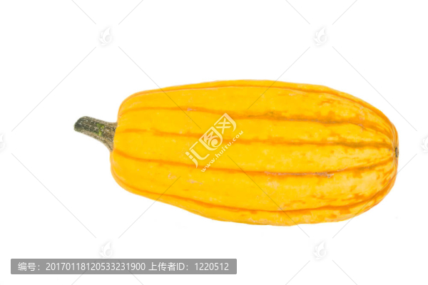 南瓜；食品；蔬菜；