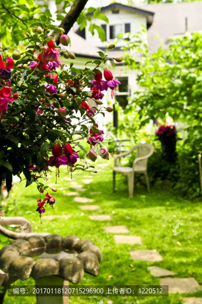 家和花園